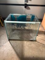 Kweekaquarium 165L, Dieren en Toebehoren, Ophalen, Zo goed als nieuw