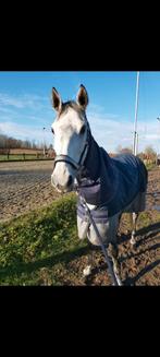 Winterdeken met nek 150 gr, Dieren en Toebehoren, Ophalen of Verzenden