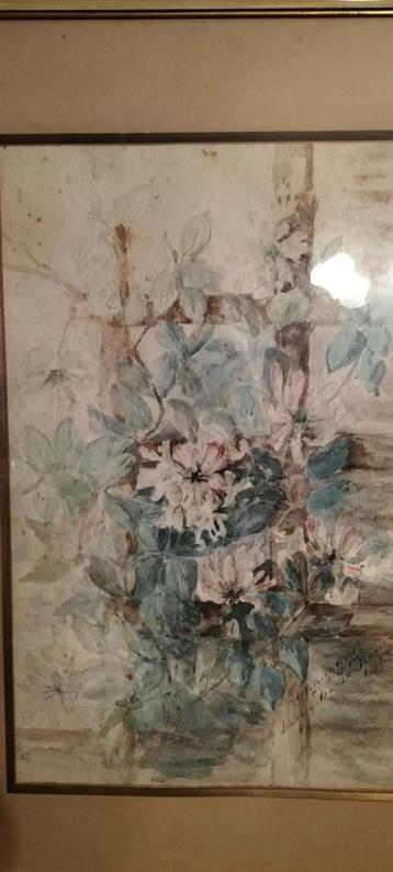 Aquarel, Enlèvement