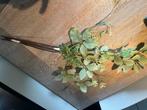 Stoffen takken, Huis en Inrichting, Woonaccessoires | Kunstplanten en Kunstbloemen, Ophalen, Zo goed als nieuw, Binnen