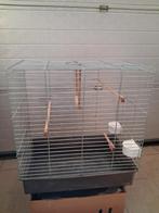 Parkietenkooi, Dieren en Toebehoren, Ophalen