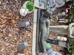 Tuinbeelden boeddha, Tuin en Terras, Ophalen, Zo goed als nieuw, Boeddhabeeld