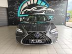 ES 300h Executive Line, Autos, Lexus, Argent ou Gris, Achat, 2487 cm³, Entreprise