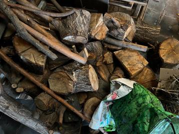 Hout en palleten beschikbaar voor biedingen