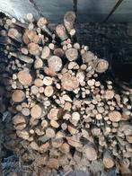 Bois de chauffage, Jardin & Terrasse, Bois de chauffage, 3 à 6 m³, Enlèvement, Autres essences de bois, Bûches