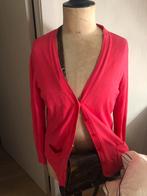 Roos/rood trui merk Rabe zeer goede staat, slechts 5euro, Vêtements | Femmes, Pulls & Gilets, Enlèvement ou Envoi