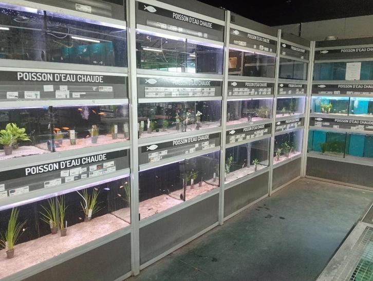Aquarium a vendre, Animaux & Accessoires, Poissons | Aquariums & Accessoires, Enlèvement