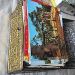 Doosje met postkaarten, Verzamelen, Ophalen of Verzenden, Gebruikt, Overige typen