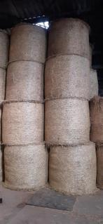 Foin à vendre, Zakelijke goederen, Landbouw | Veevoer, Ophalen of Verzenden