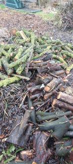 Brandhout, Tuin en Terras, Brandhout, Minder dan 3 m³, Ophalen, Eikenhout, Stammen