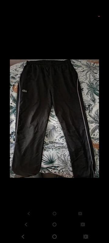 Training lacoste homme taille XL disponible aux enchères