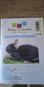 2 dwergkonijntjes, Dieren en Toebehoren, Konijnen, Vrouwelijk, Dwerg, 3 tot 5 jaar