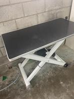 Tafel hondentoilettage electric, Dieren en Toebehoren, Ophalen of Verzenden, Zo goed als nieuw