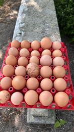 Eieren, Diversen, Ophalen