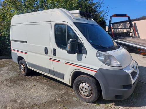 Peugeot boxer Frigo problème embreyage EXPORT (3000+btw), Autos, Camionnettes & Utilitaires, Entreprise, Achat, Peugeot, Diesel