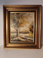 Schilderij Gilbert Van Rooyen Oudegem boom herfstkleur, Ophalen of Verzenden