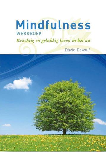 Mindfulness Werkboek - Krachtig en mild leven in het nu beschikbaar voor biedingen