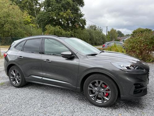 FORD KUGA ST LINE X 2.5PHEV plug in hybride, Auto's, Ford, Particulier, Kuga, ABS, Achteruitrijcamera, Adaptieve lichten, Adaptive Cruise Control