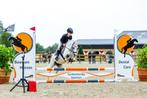 Gezocht: E pony, Dieren en Toebehoren, B, Springpony, 3 tot 6 jaar, Merrie