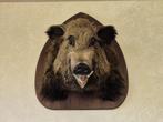 2 tête taxidermie + 3 Massacres, Ophalen