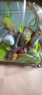 Skip hop tree top speelmat baby, Kinderen en Baby's, Ophalen, Gebruikt