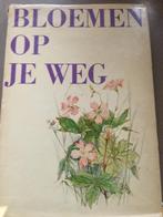Artis: bloemen op uw weg, Ophalen