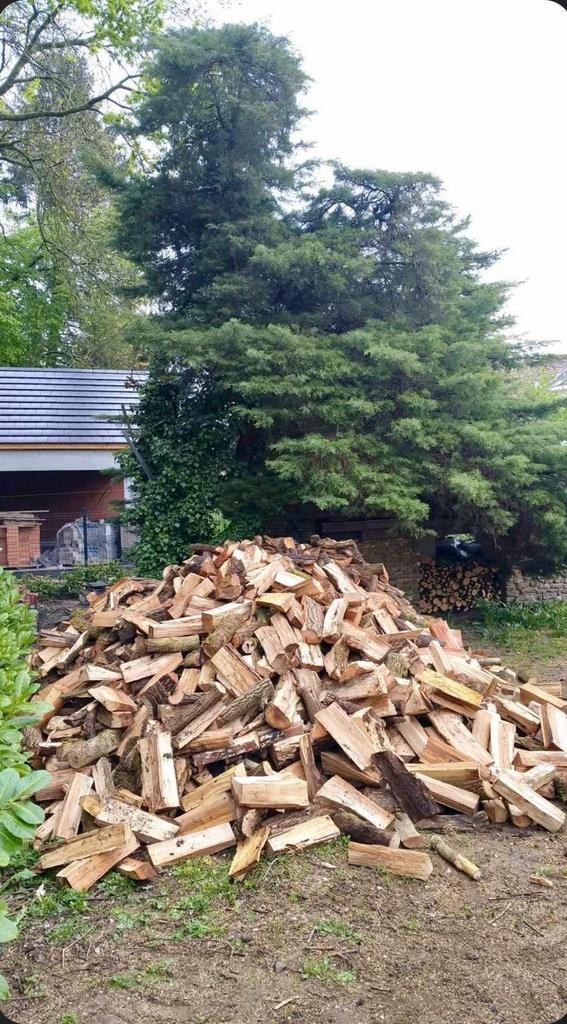 Brandhout met gratis bezorging!, Tuin en Terras, Brandhout, Blokken, Beukenhout, 6 m³ of meer, Ophalen