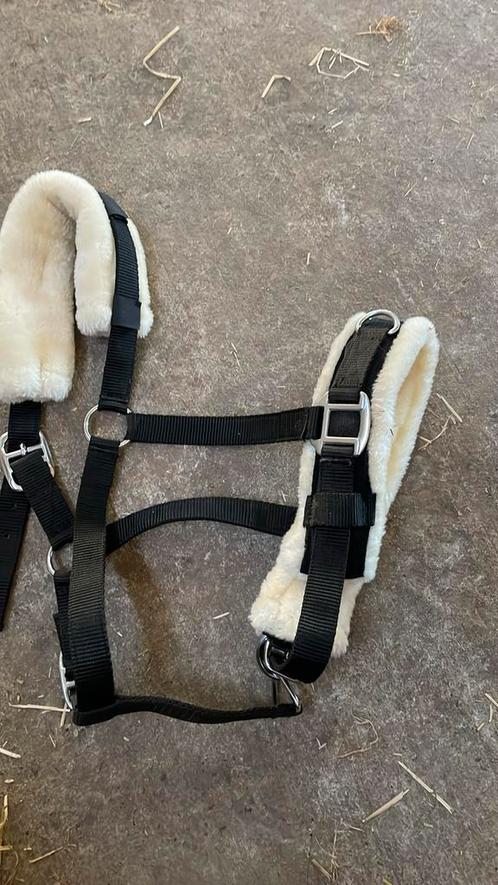 Kaptoom Epplejeck Nylon Zwart, Dieren en Toebehoren, Paarden en Pony's | Hoofdstellen en Tuigage, Zo goed als nieuw, Ophalen