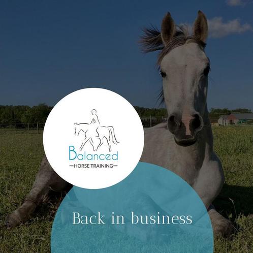 Lessen grondwerk, rijden, zadelmak maken, problemen, Dieren en Toebehoren, Paarden en Pony's | Overige Paardenspullen, Ophalen of Verzenden