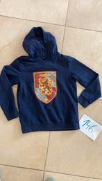 Jongens Hoodie Gryffindor maat 146, Enfants & Bébés, Vêtements enfant | Taille 146, Enlèvement, Utilisé, Garçon, Pull ou Veste
