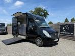 BLACK BEAUTY MOVANO PAARDENWAGEN 2011 MET OPBOUW UIT 2021, Ophalen, Gebruikt, Overige materialen, Overige typen