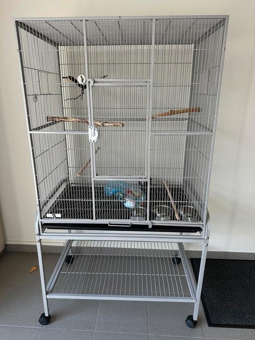 Vogelkooi nieuw., Dieren en Toebehoren, Vogels | Hokken en Kooien, Zo goed als nieuw, Vogelkooi, Ophalen