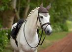 LeMieux Loire Oornetje Walnut Full, Animaux & Accessoires, Chevaux & Poneys | Brides & Harnachement, Enlèvement ou Envoi, Neuf