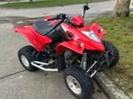 maxxer 300 kxr 250, Motos