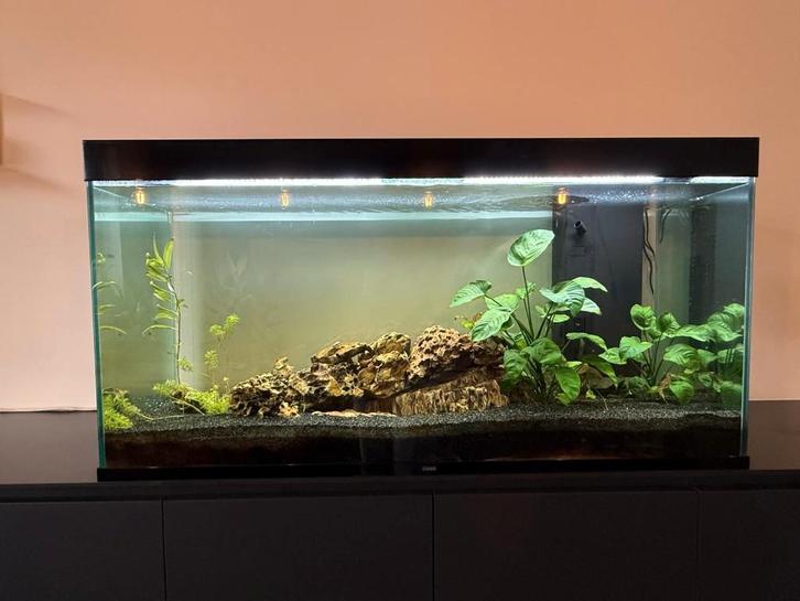 Aquarium Ciano Emotions Nature Pro 120 – zwart, Dieren en Toebehoren, Vissen | Aquaria en Toebehoren, Zo goed als nieuw, Overige typen