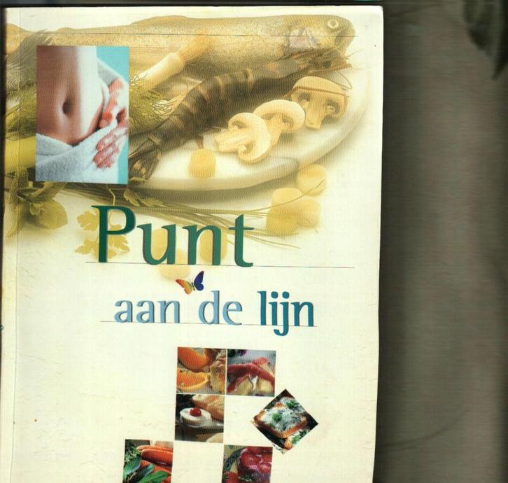 Punt aan de lijn Weightwatchers 208 blz, Boeken, Kookboeken, Zo goed als nieuw, Ophalen of Verzenden