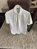 Hemd tommy hilfiger medium, Ophalen, Wit