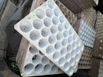 Stekplaat zaaiplaat plantplaat met 38 gaten, Tuin en Terras, Tuin, Kunststof, Gebruikt, Minder dan 30 cm