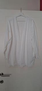 Mooi witte gilet / vest., Kleding | Dames, Grote Maten, Ophalen of Verzenden, Nieuw