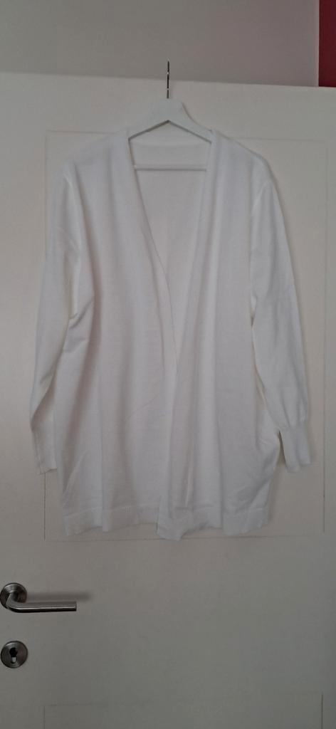 Mooi witte gilet / vest., Kleding | Dames, Grote Maten, Nieuw, Ophalen of Verzenden