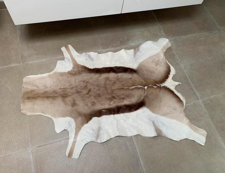 Springbok dierenvel, Collections, Collections Animaux, Utilisé, Enlèvement ou Envoi