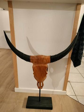 Stierenkop/Buffel schedel, Antiek en Kunst, Ophalen