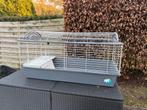 Groot konijnen/cavia’s hok 120x58cm en 60cm hoogte., Dieren en Toebehoren, Ophalen, Zo goed als nieuw, Hok, Cavia