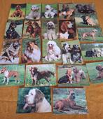 Lot de 22 cartes postales, animaux, chien, non écrites, Collections, Enlèvement ou Envoi, 1980 à nos jours, Non affranchie, Chien ou Chat