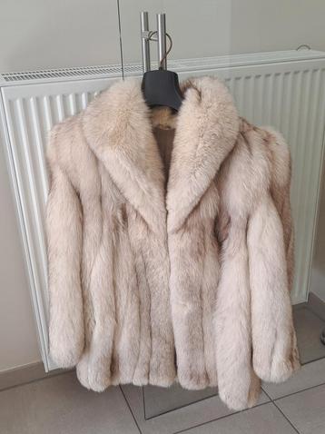 Bontjas   beschikbaar voor biedingen