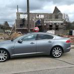 Maçon polyvalent constant et dispo 0467 781 318, Offres d'emploi, Emplois | Bâtiment