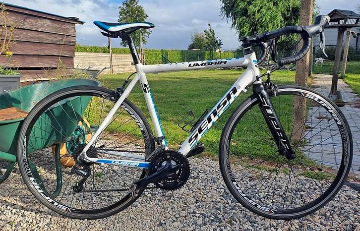 SENSA Umbria in perfecte staat, maat 54 (m/v)., Vélos & Vélomoteurs, Vélos | Femmes | Vélos de sport & de randonnée, Plus de 20 vitesses