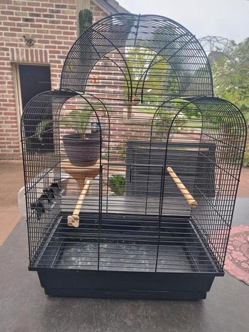 mooie Vogelkooi.  beschikbaar voor biedingen