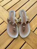 Teenslippers, Kleding | Dames, Schoenen, Slippers, Dolce C, Ophalen of Verzenden, Zo goed als nieuw