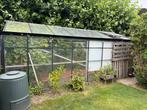 Grote Serre te koop, Tuin en Terras, Kassen, Gebruikt, Kweekkas, Glas, Ophalen